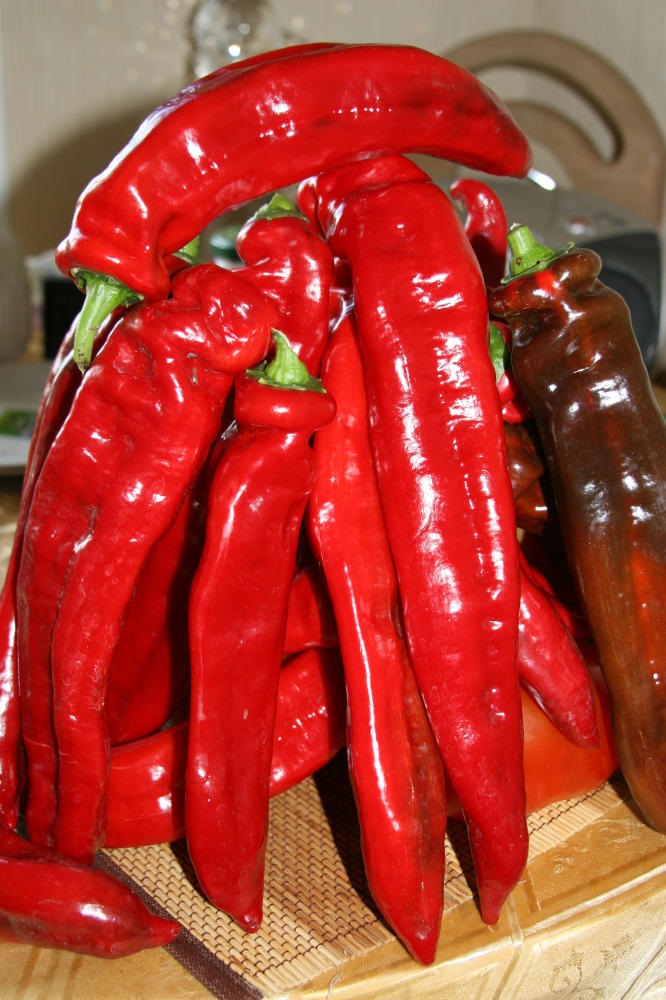 ������� ������� �����