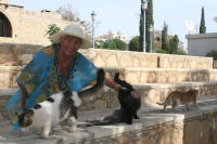 Кошки Кипра и Малыгина Мария в Айя Напе